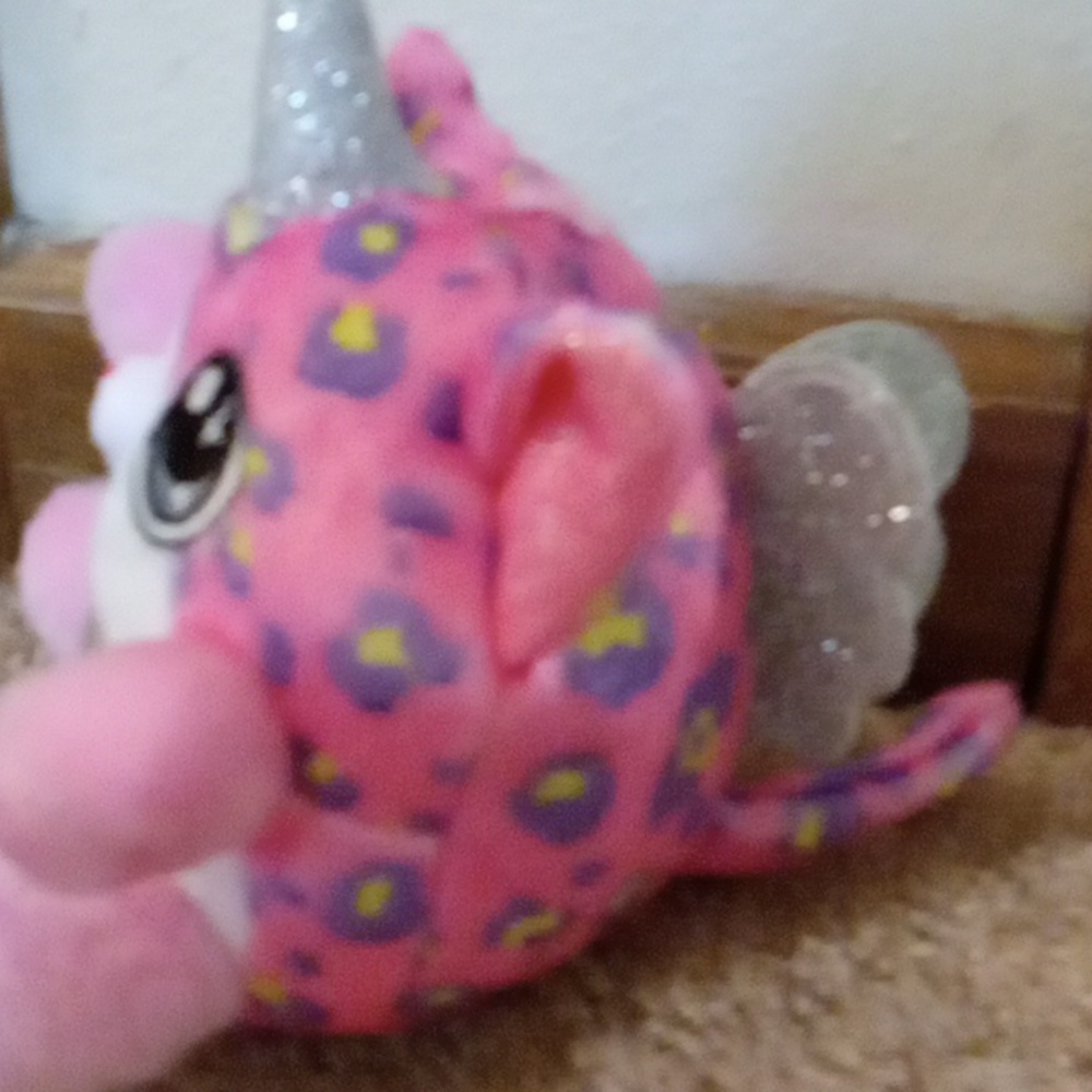 Unicorn cat - Picture 4 of 4